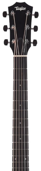 taylor slim neck