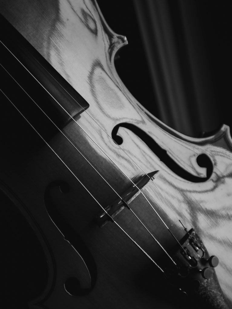 violin in black and white
