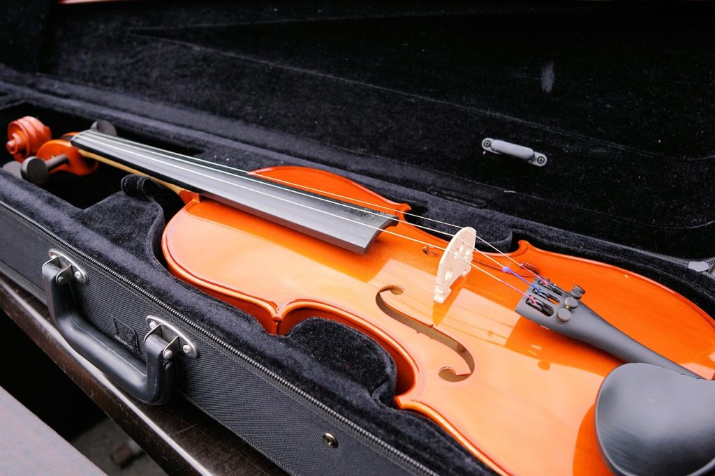 violin in protective case